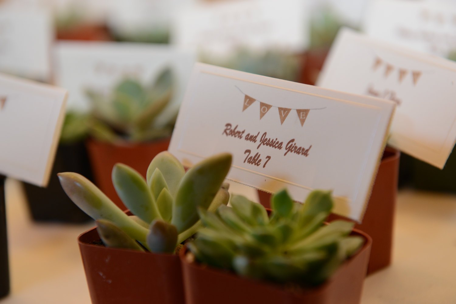 Succulent Wedding Escort Card Holder